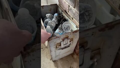 Ammo Can Garden Tomato (water bottles)