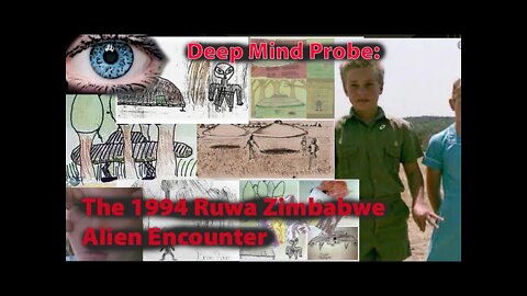 Deep Mind Probe: The 1994 Ruwa Zimbabwe Alien Encounter