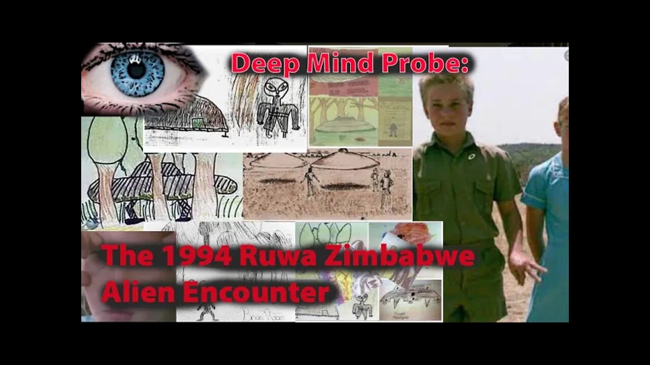 Deep Mind Probe: The 1994 Ruwa Zimbabwe Alien Encounter