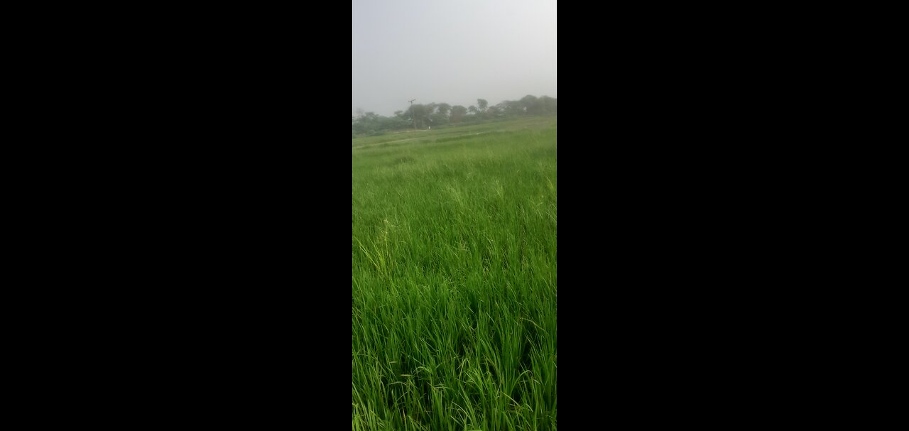 Work farmer
