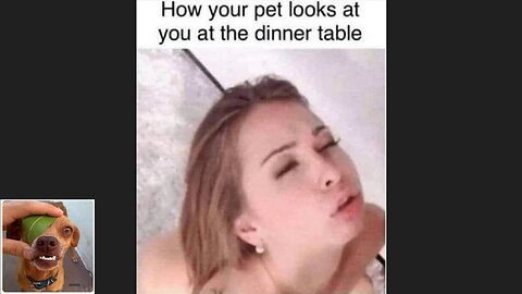 Memes That Will 99.851% Make You Laugh. (e76)