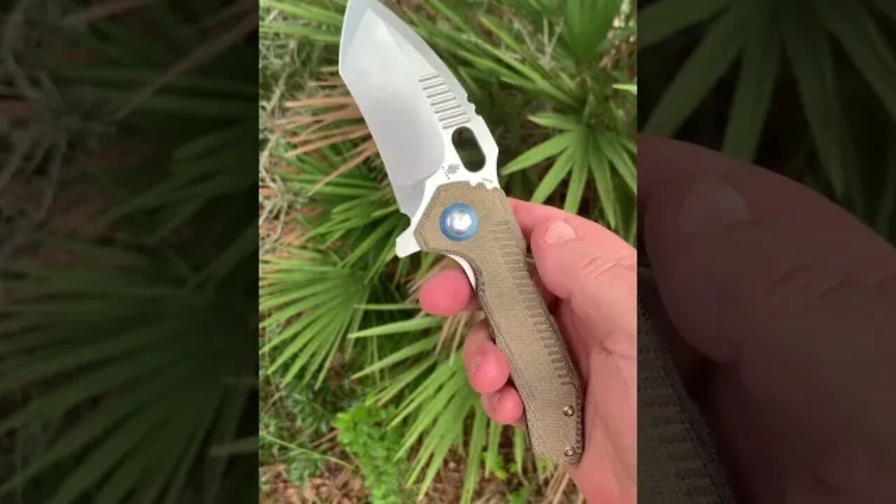 @Kizer Knives Official Mini Paragon @r.s.knifeworks design It’s way cool !!
