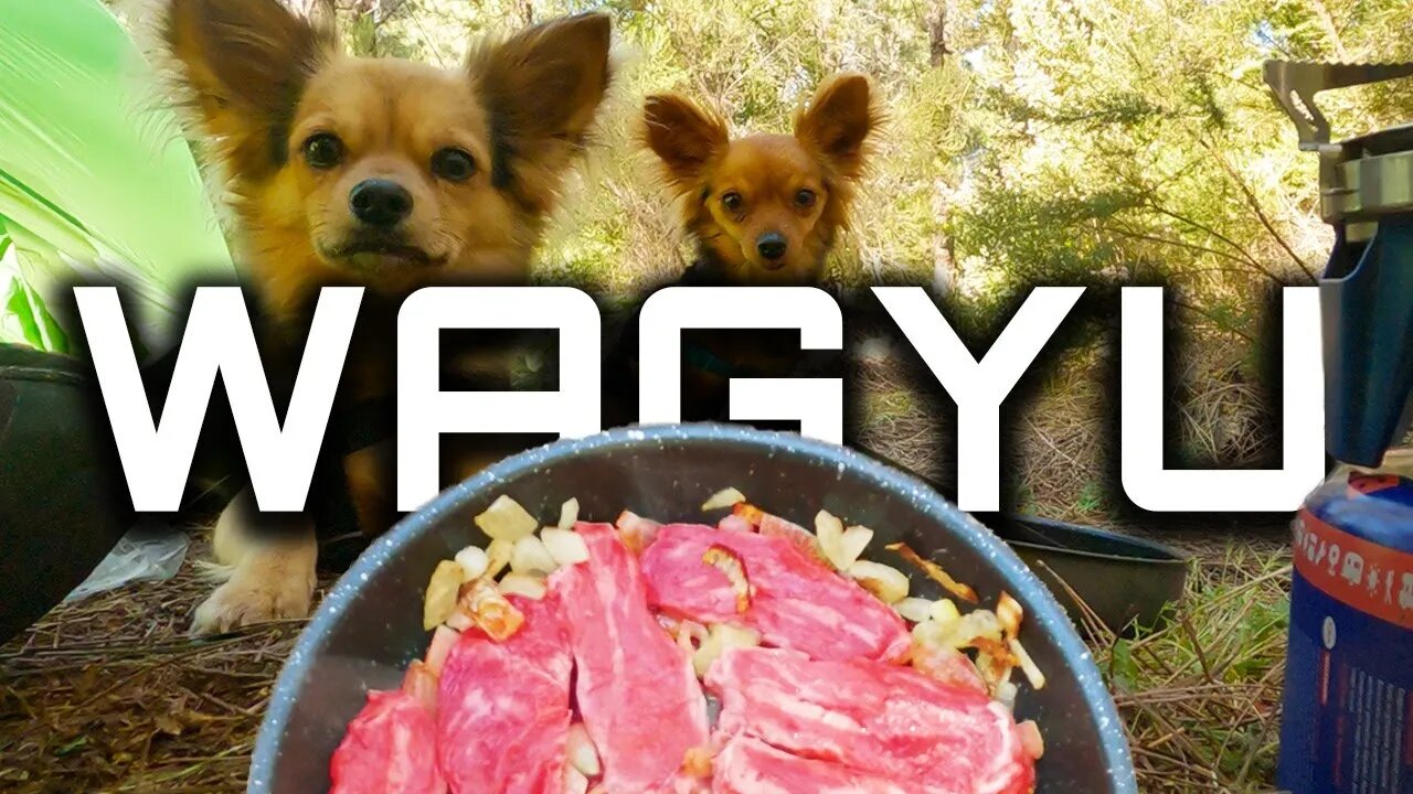 Camping and cooking Philly Cheese Steak Wagyu Sandwich