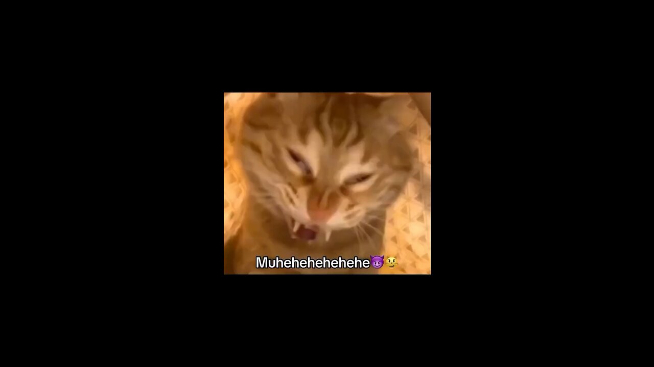 😂