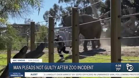 Man who snuck into Elephant enclosure at San Diego zoo pleads not guilty