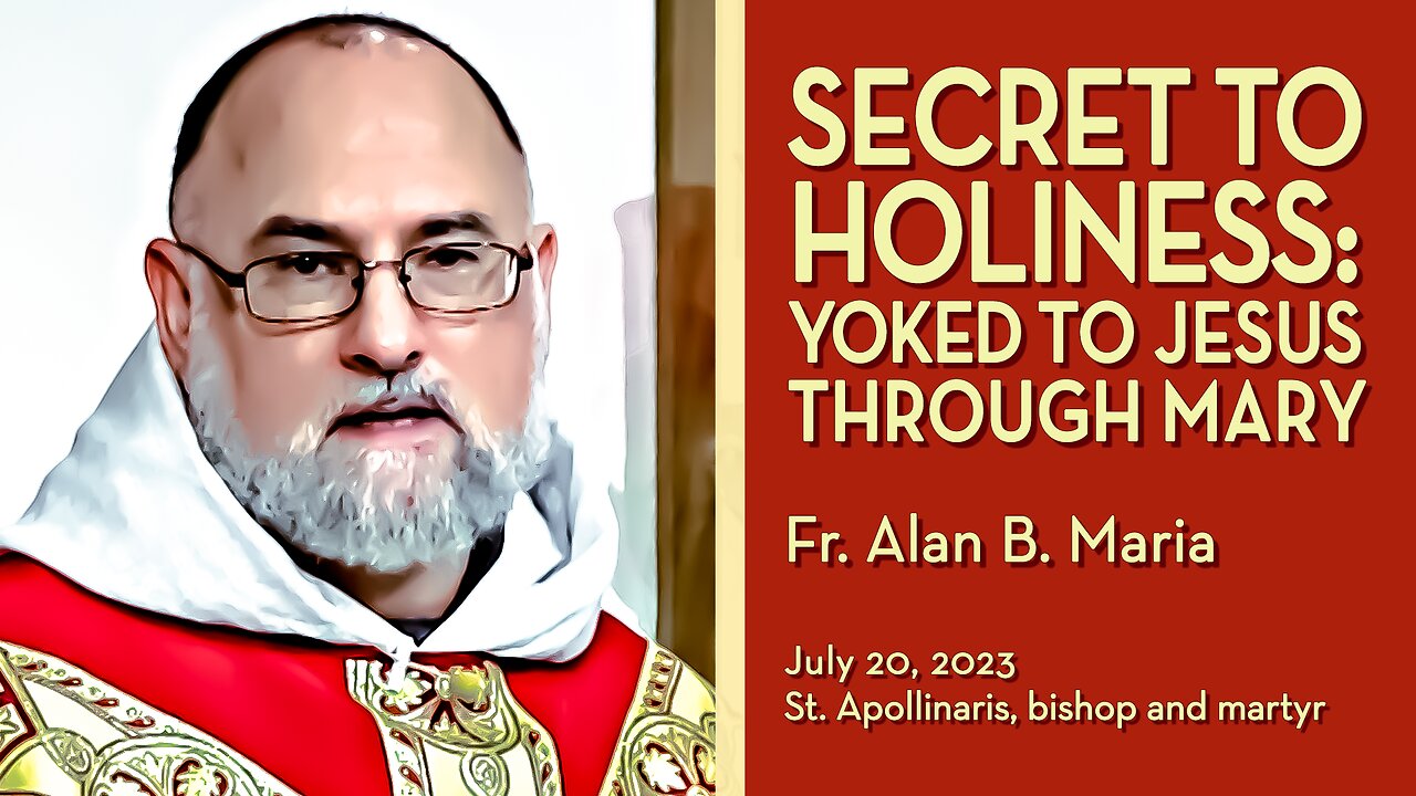 Find Rest & Holiness: Be Yoked to Jesus Thru Mary - July 20, 2023 - Ave Maria! HOMILY