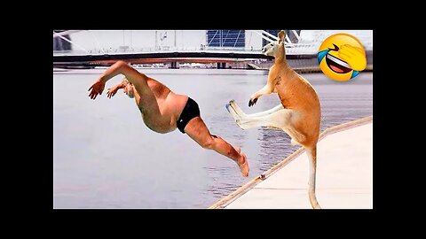 funny Animals 😂 animal funny video 😁