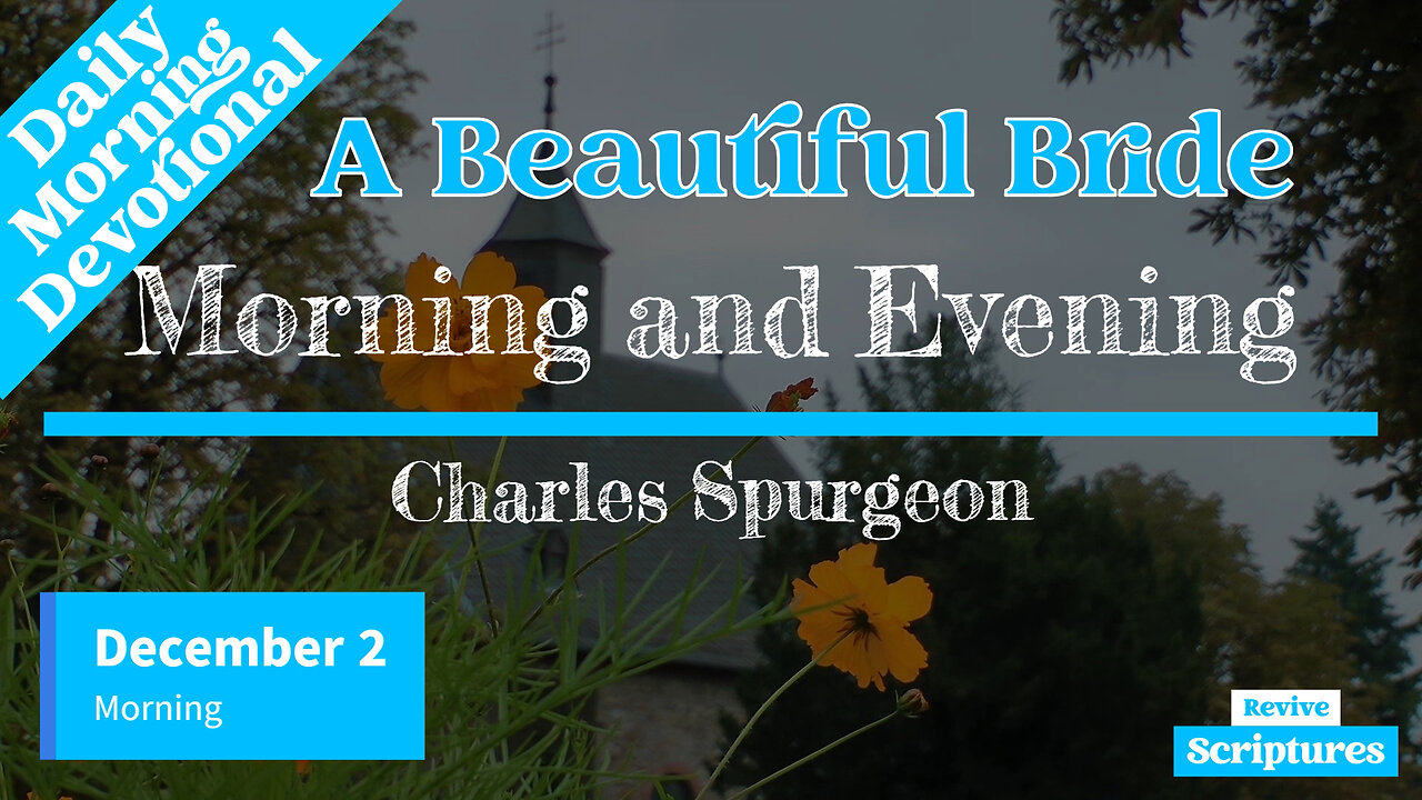 December 2 Morning Devotional | A Beautiful Bride | Morning and Evening by Charles Spurgeon