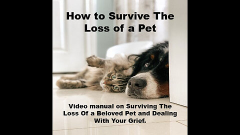 How to Survive the Loss of a Pet