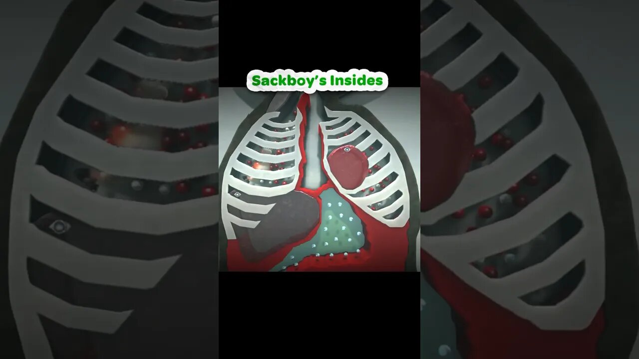 Sackboy’s Insides (Part 5) #littlebigplanet #playstation