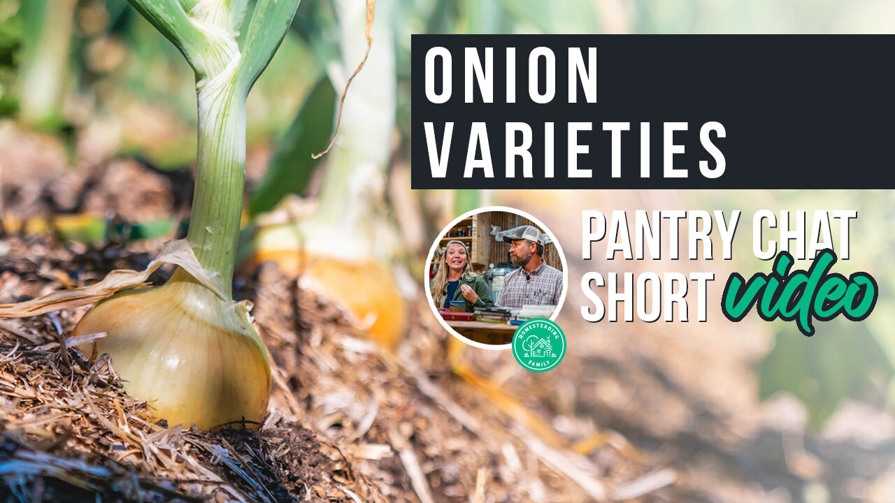 Onion Varieties | Pantry Chat Podcast SHORT