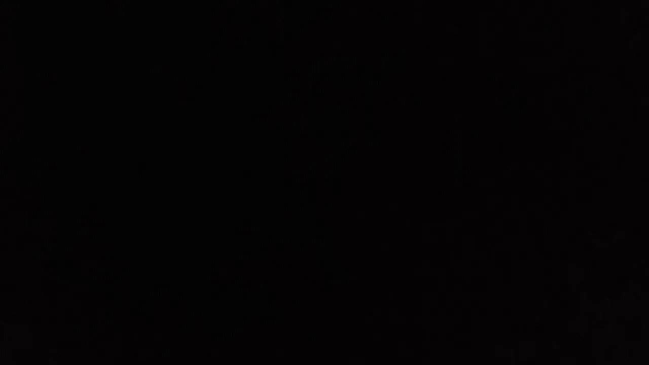 k Litter - Yesterday & Today(4)