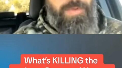 What's k*lling the cadaver dogs, horses and wildlife in NC & TN? Part-1