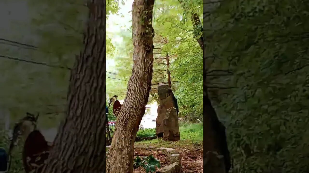 "Feel'n Squirreły"