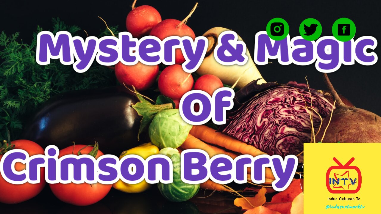 Mystery & Magic of Crimson Berry 🫐