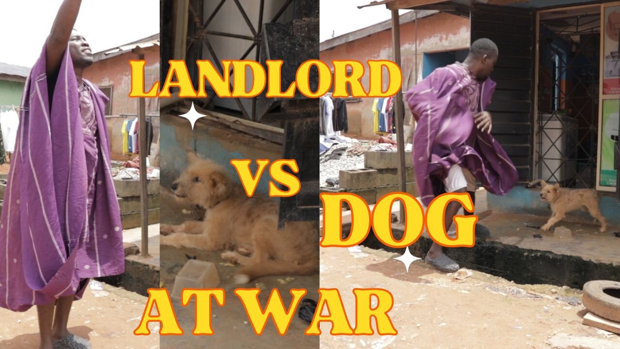 LOL, LANDLORD VS DOG WAR