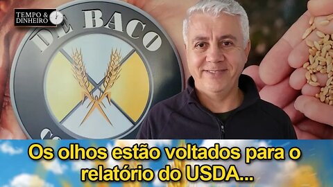 Os olhos estão voltados para o relatório do USDA...