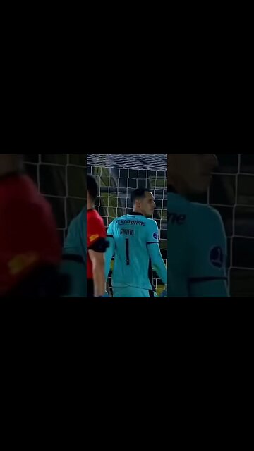 🔥🚨GRAVE! COMO UM 🐈! GATITO AGARRANDO EM ALTO NÍVEL NOVAMENTE! #botafogo #segueolíder #sudamericana