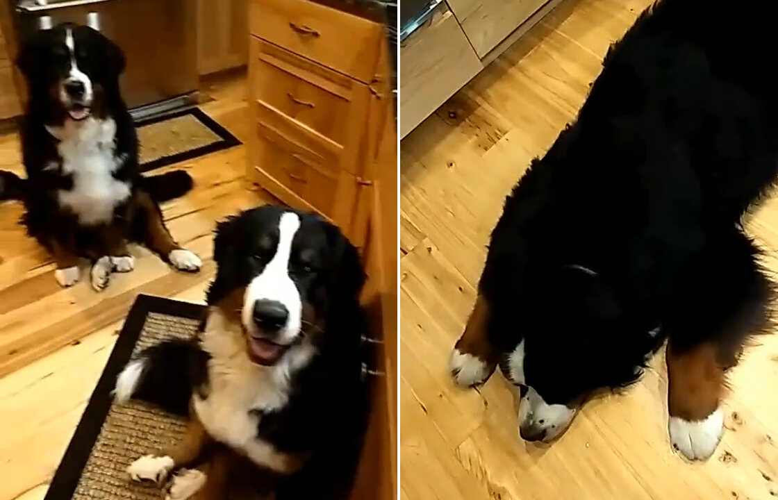 Every time I go to the kitchen, let me have a good meal.