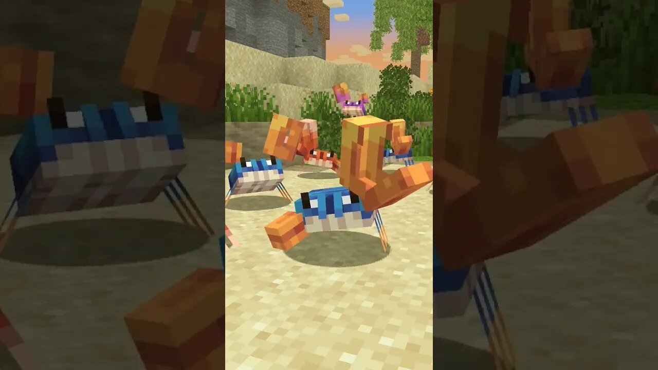 caranguejo no universo do minecraft!! #viral #minecraft #shorts