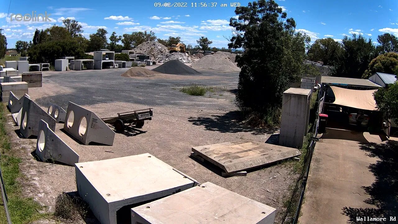Snake on Driveway wide view