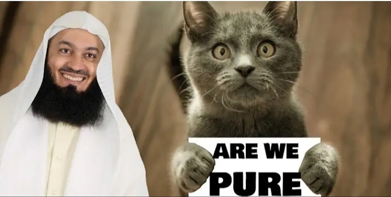 Are cats pure? Mufti menk