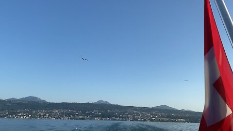 Bird fly over the boat
