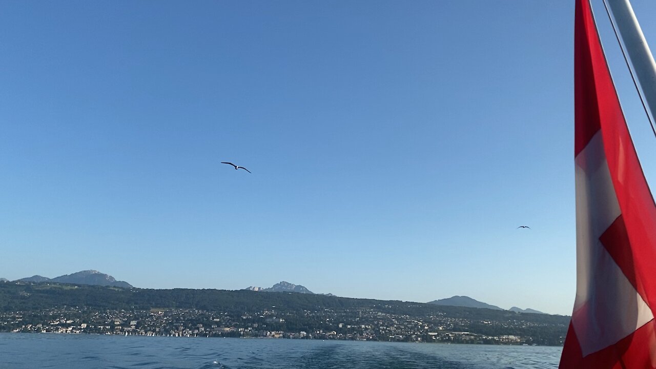 Bird fly over the boat