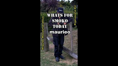maurieo #shorts SMOKO OF THE DAY #001