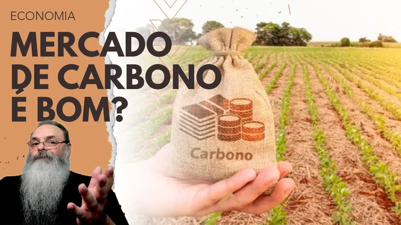 POR QUE AGRICULTORES não gostaram de PROJETO que DIMINUI IMPOSTOS para quem QUISER REDUZIR CARBONO?