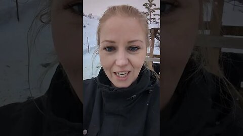 #shorts #homesteading