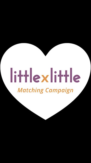 Little by Little Campaign