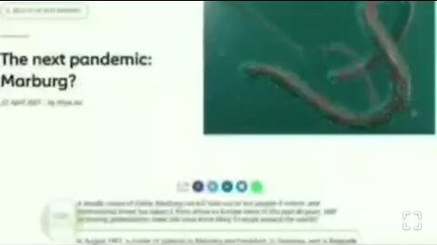 What is Virax? MARBURG VIRUS... The Next Pandemic!? Remember and save this post
