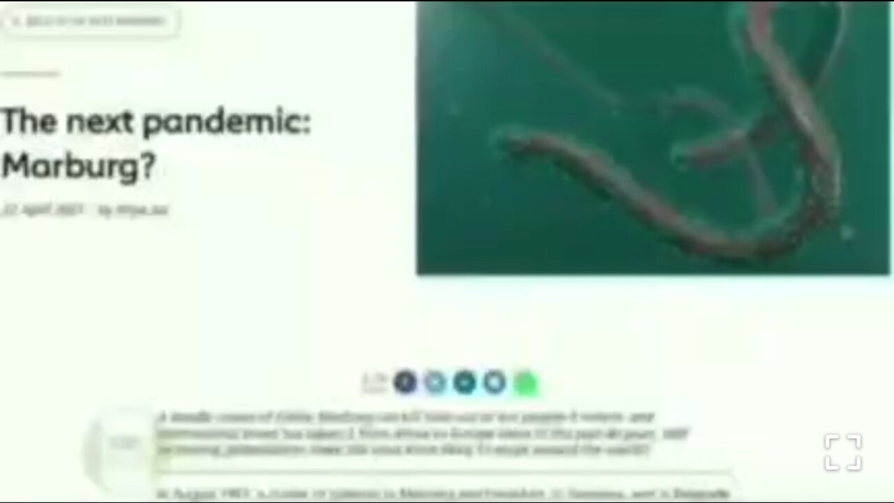 What is Virax? MARBURG VIRUS... The Next Pandemic!? Remember and save this post