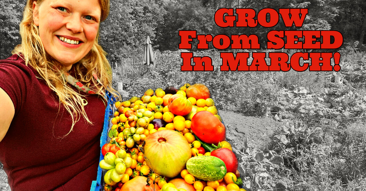 Sowing TOMATOES from SEED in March: GARDEN and ALLOTMENT Planning & Varieties