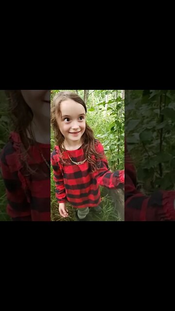 The Pet Rotten Forest Egg Survives