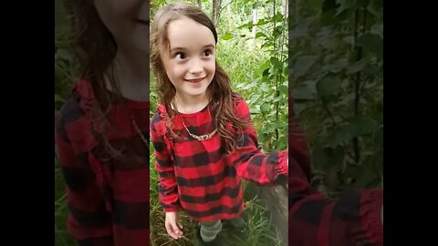 The Pet Rotten Forest Egg Survives