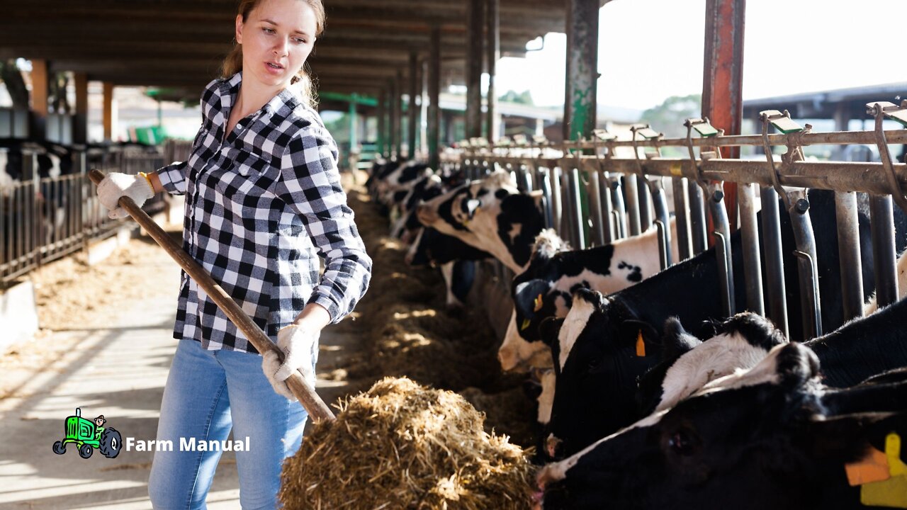 Farm | My cattle, My life