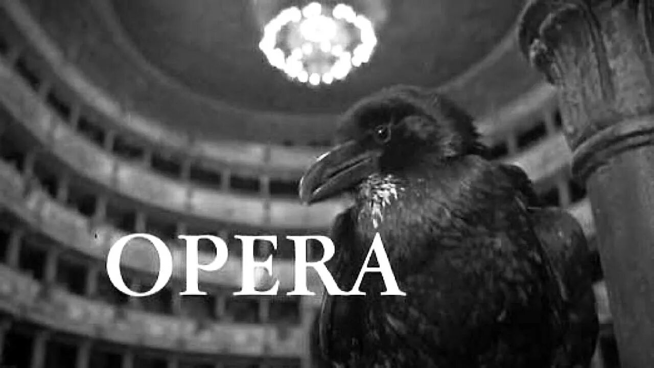 Filming the bird shots for Dario Argento's Opera