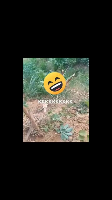 De raiz kkk #shorts #memes #humor