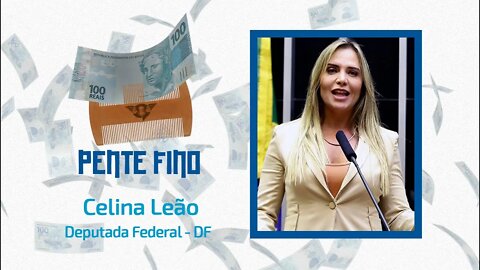 🔴🔎PENTE FINO DEPUTADA CELINA LEÃO - São Fatos.