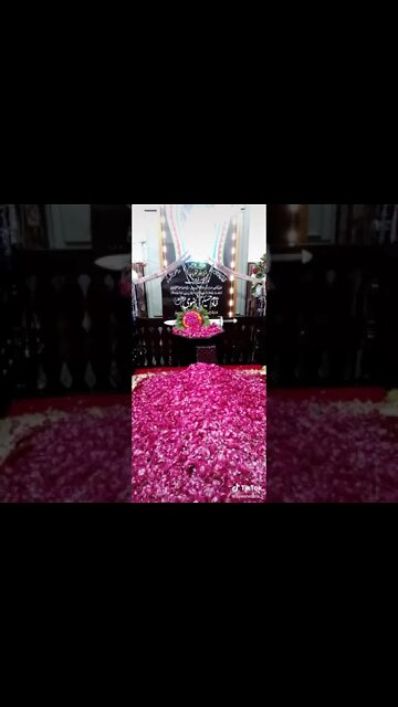 mazaar of ameer ul mujahideen allama Hafiz khadim hussan rizvi