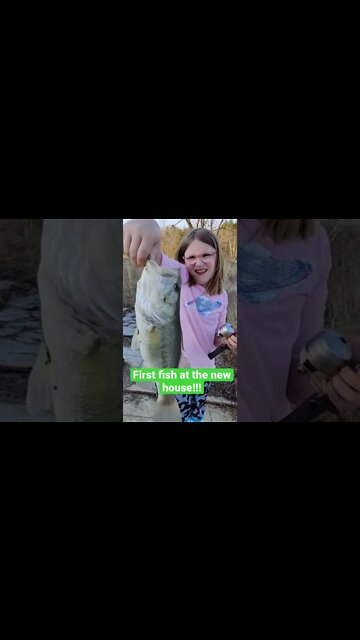 First fish at the new house!!! #shorts #fishing #countryliving