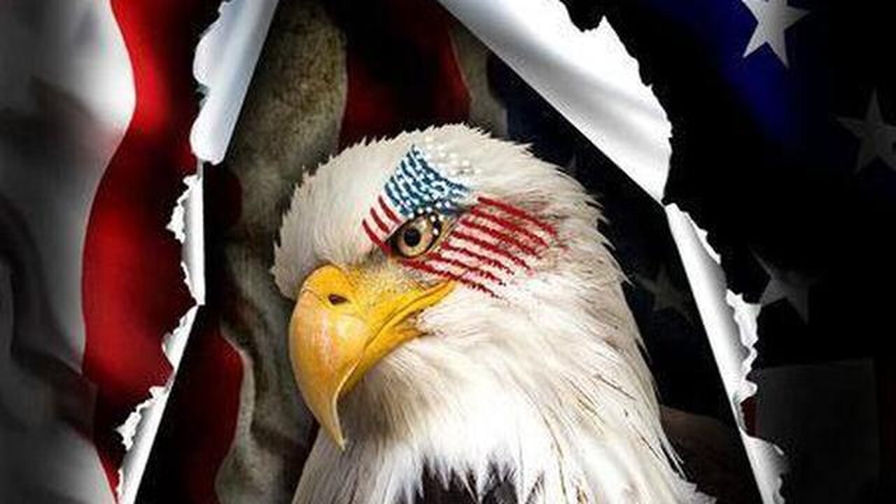 NO… MILITARY TRIBUNALS CLEARLY AREN’T HAPPENING 🤦🏽 - TRUMP NEWS