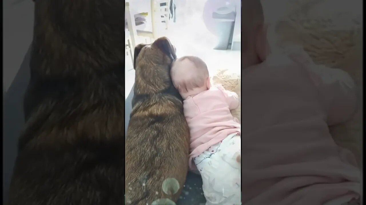 Baby and the dog