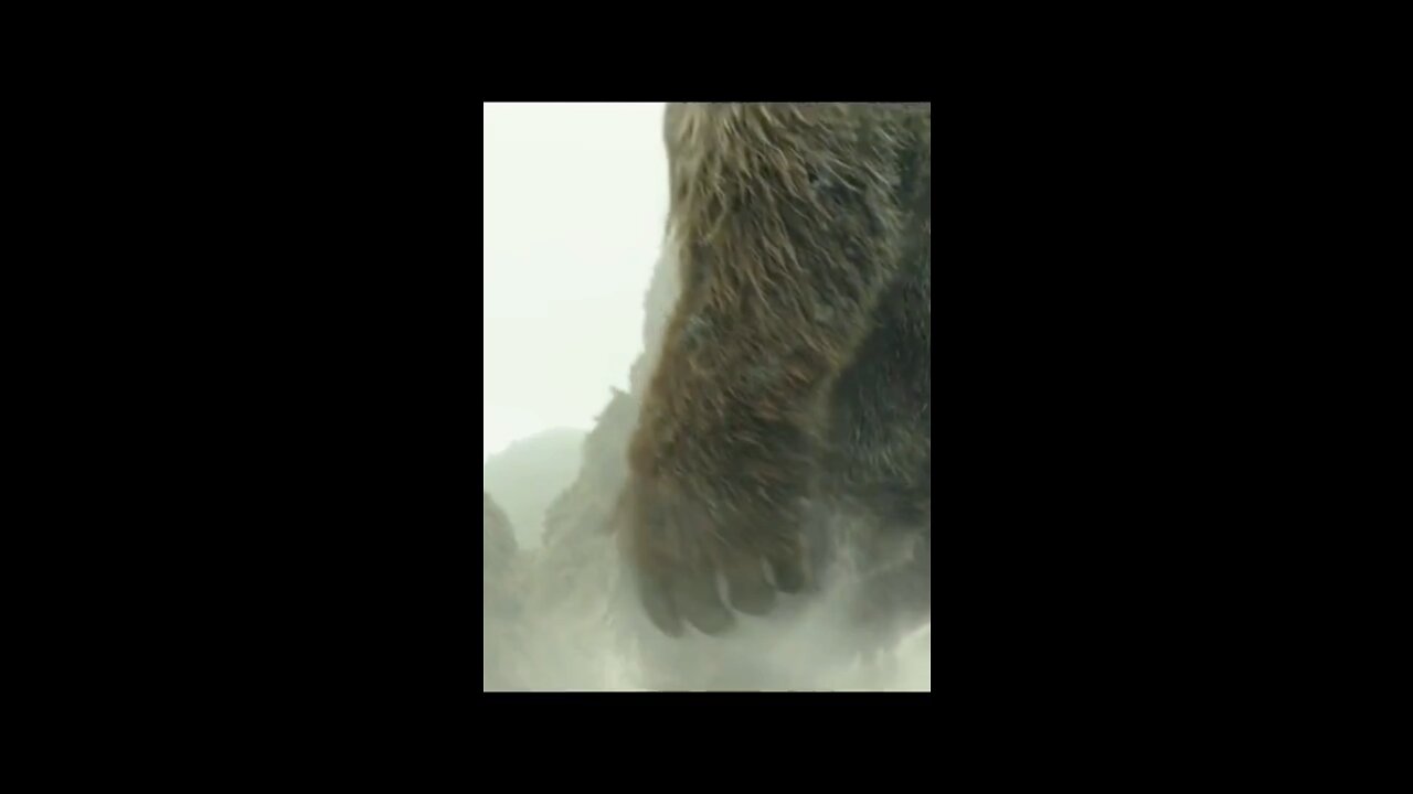 Kong vs Giant Squid scene