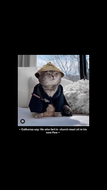 Dems Had been Farting Up The Courts, SCOTUS Needs to Step IN!