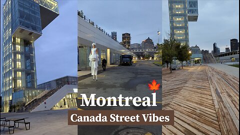 Wow, Montreal 🍁 Uncovering the City's Charm 😍 Canada street vibes 🇨🇦