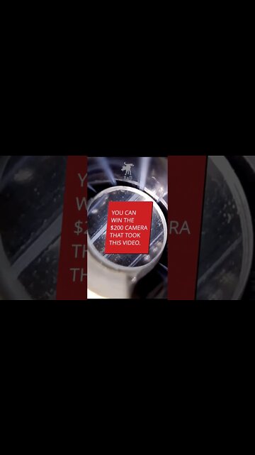 Inside a gun #shorts