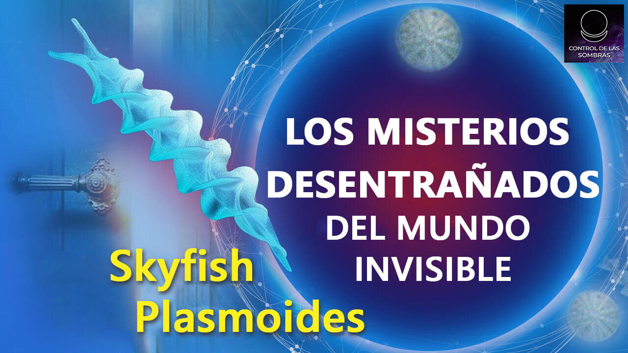 LOS MISTERIOS DESENTRAÑADOS DEL MUNDO INVISIBLE. Skyfish. Plasmoides.